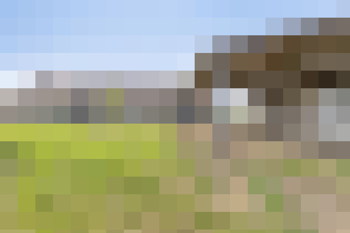Image 29