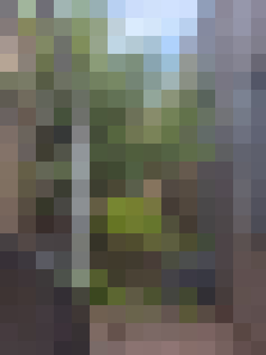 Image 18