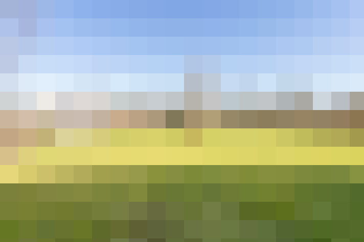 Image 22