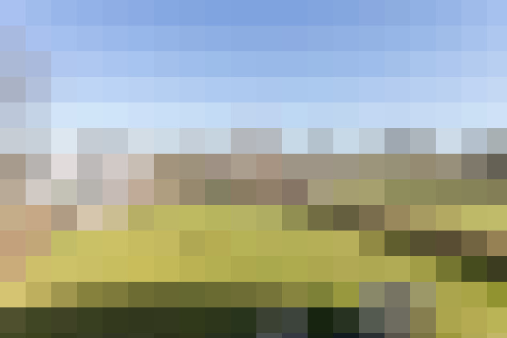 Image 26