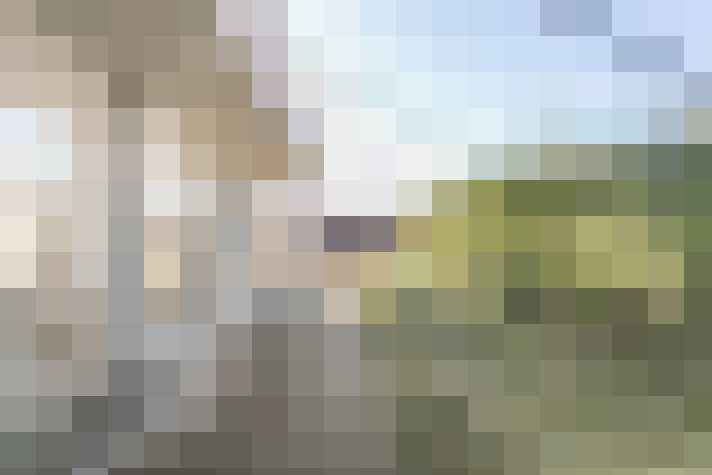 Image 24