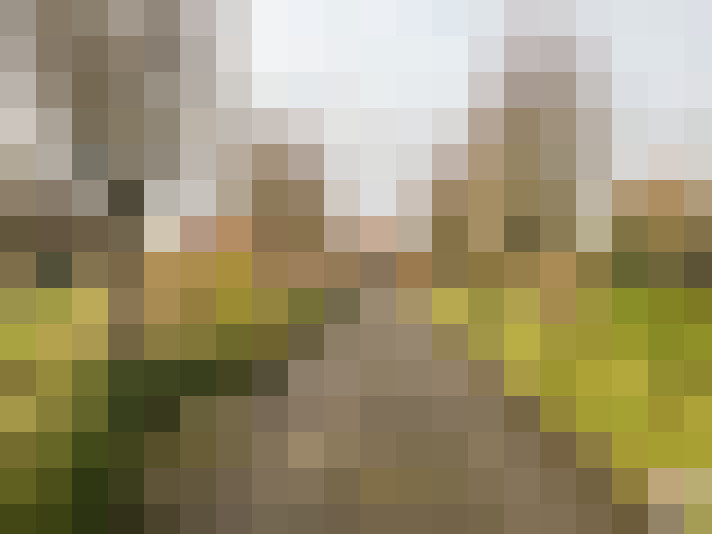 Image 16