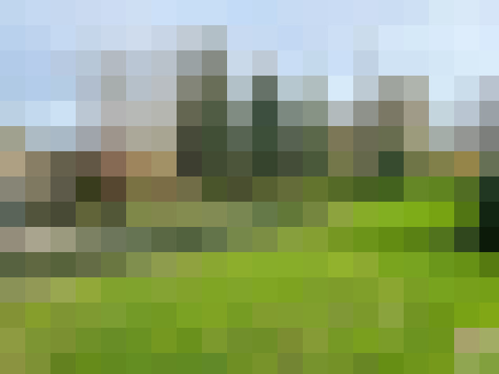 Image 14
