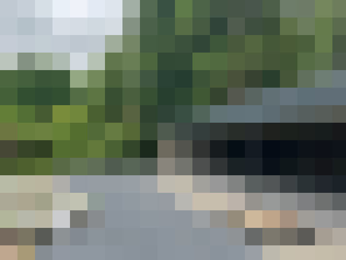Image 13