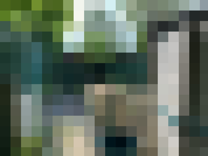 Image 17