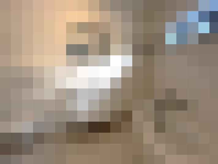 Image 14
