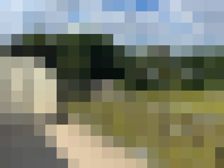 Image 15