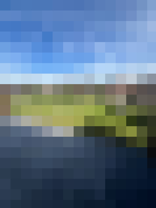 Image 21
