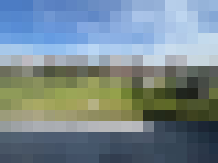 Image 23