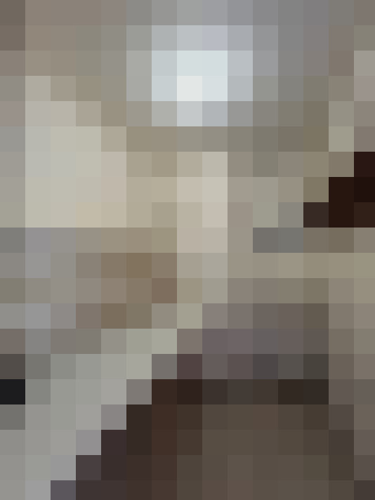 Image 13