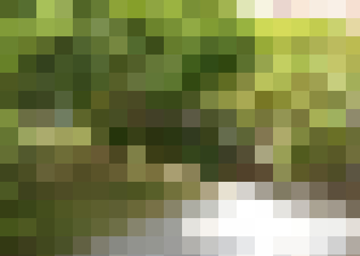 Image 24