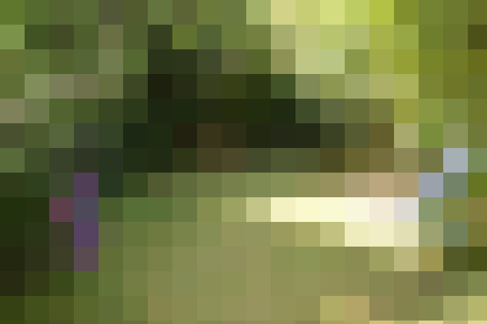 Image 23