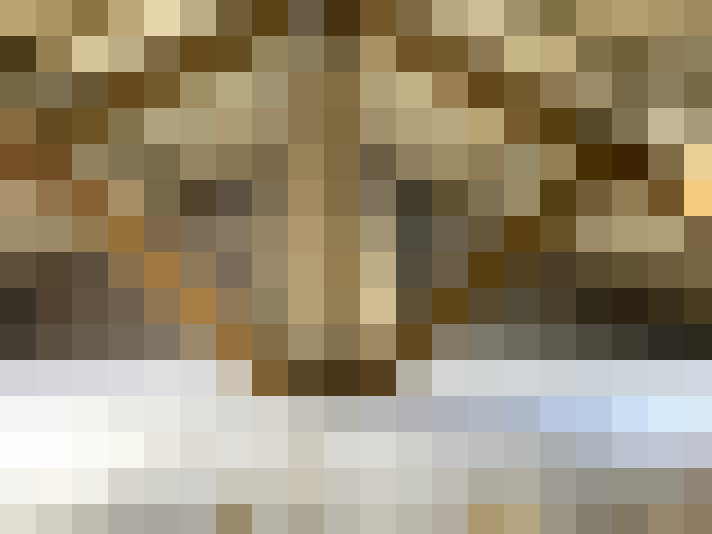 Image 16
