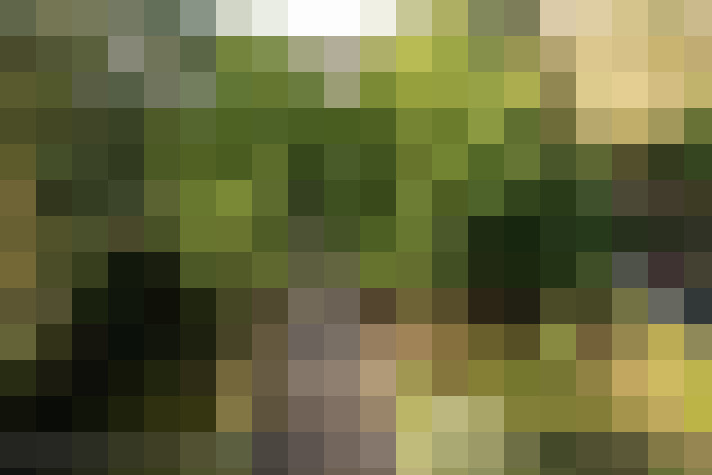 Image 13