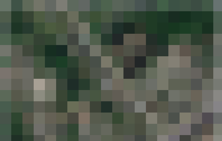 Image 40