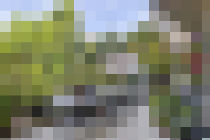 Image 14