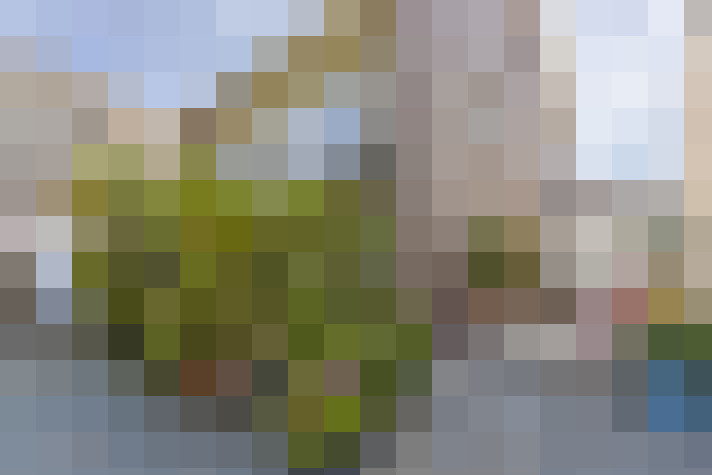 Image 15
