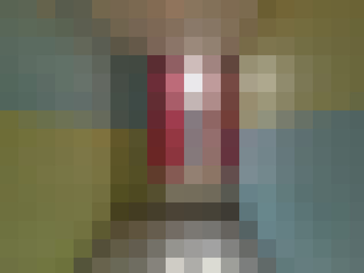 Image 20