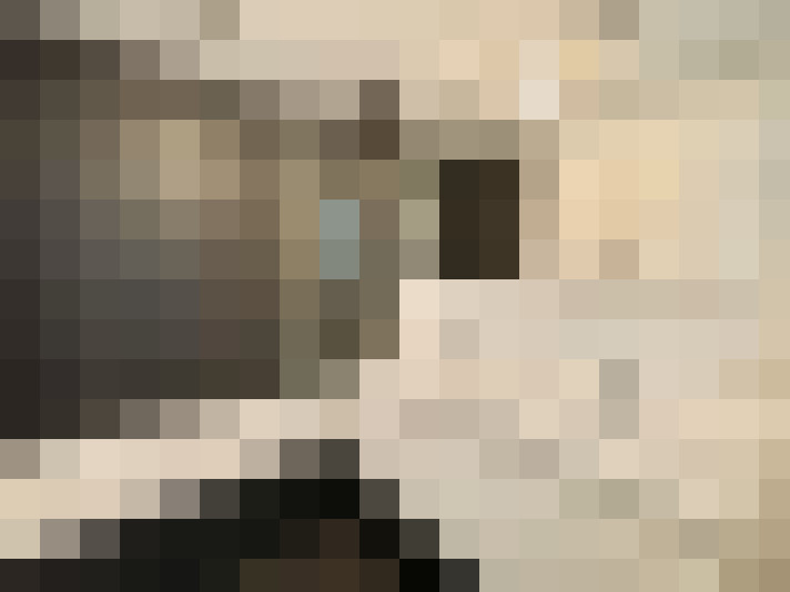 Image 13