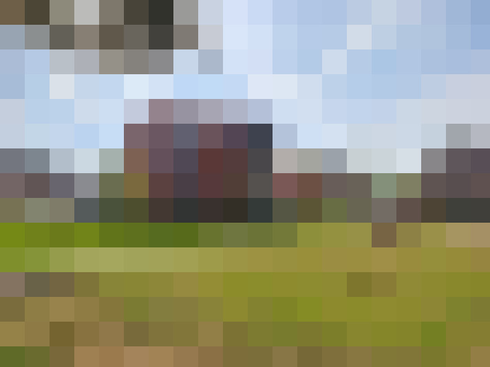 Image 20