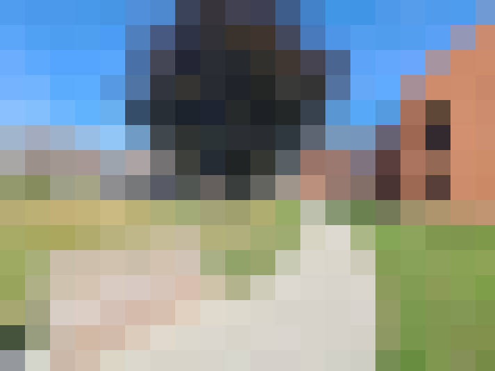 Image 17