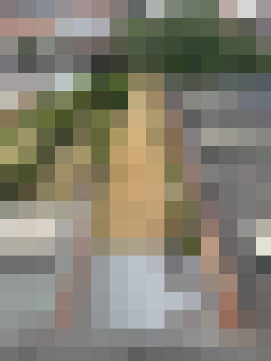 Image 16