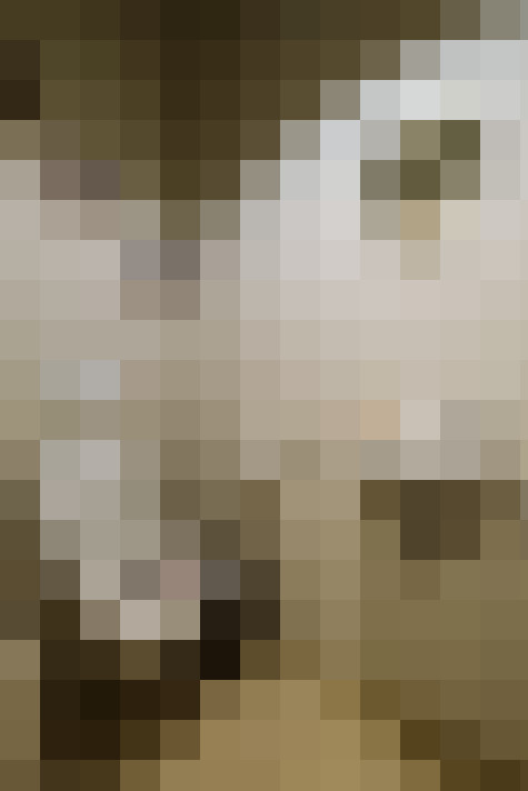 Image 14