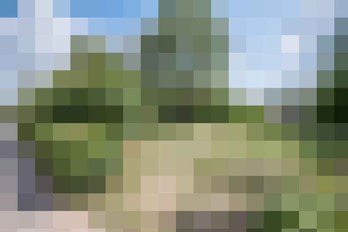 Image 28