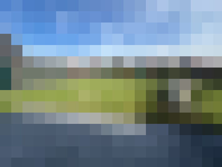 Image 16