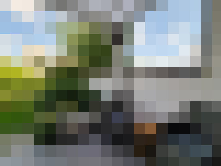 Image 20