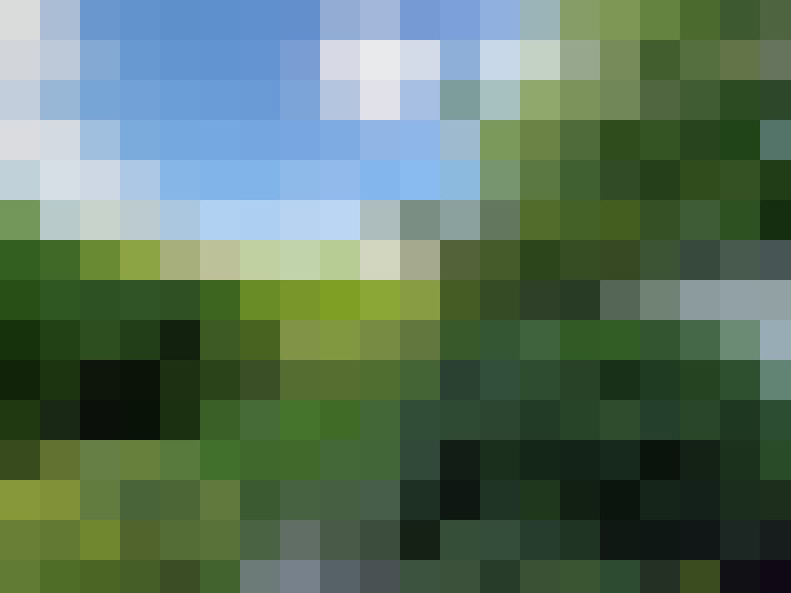 Image 24