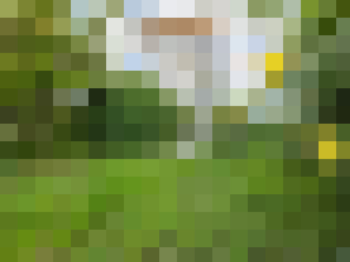 Image 23