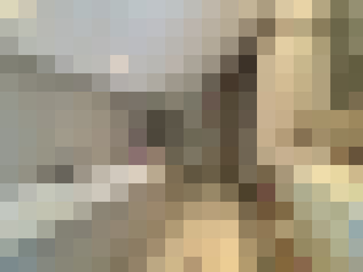 Image 17