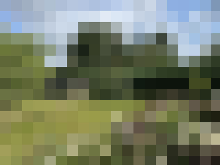 Image 14