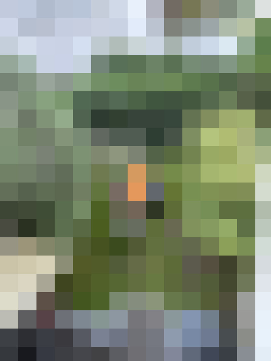 Image 16