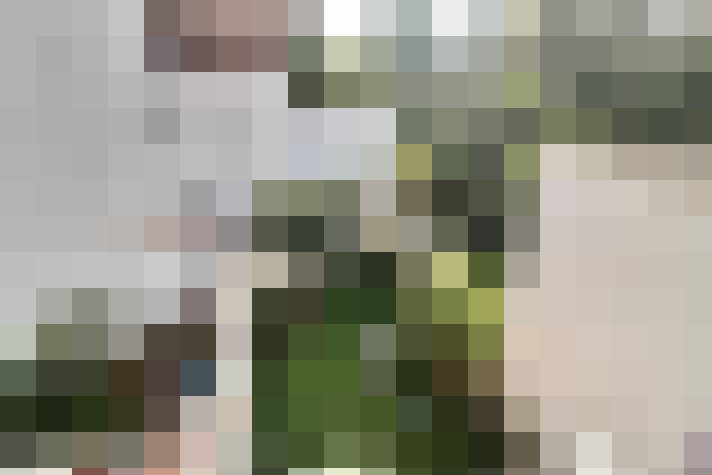 Image 17