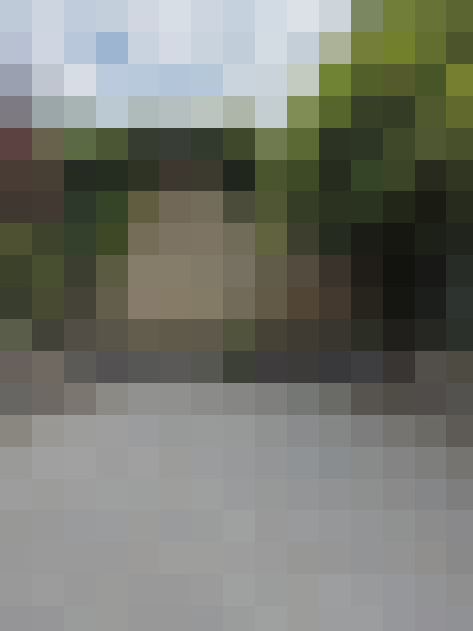 Image 16