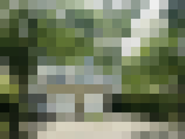Image 22