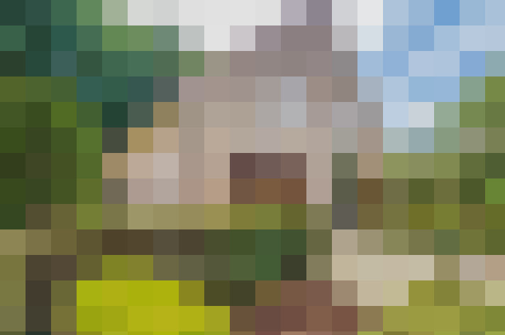 Image 18