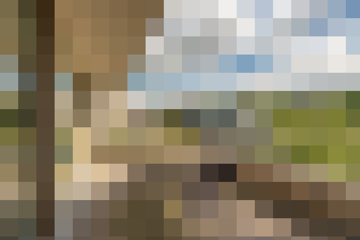 Image 17