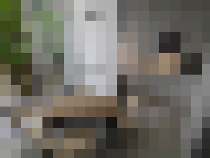 Image 17