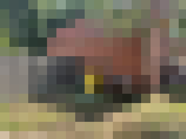Image 28