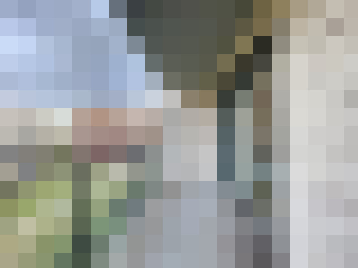 Image 15