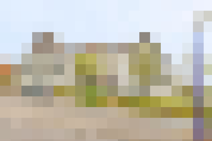 Image 17