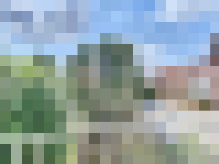 Image 13