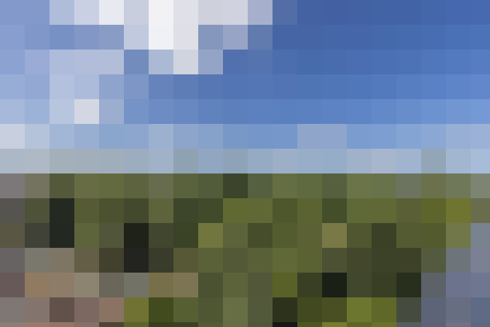 Image 23