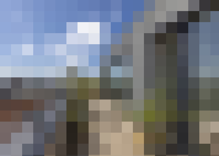 Image 21