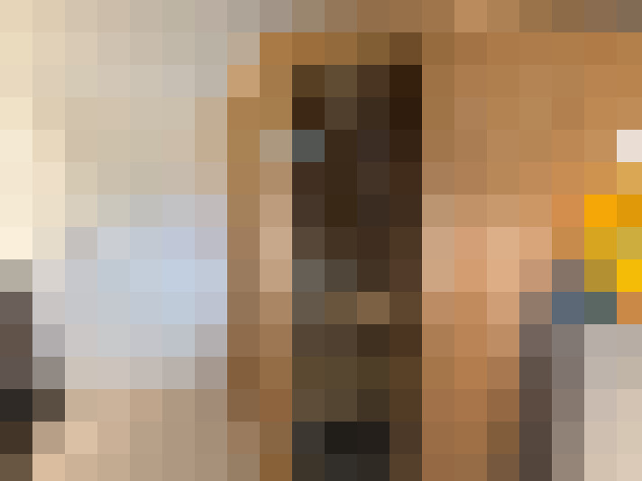 Image 20