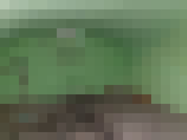 Image 17