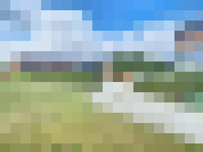 Image 13